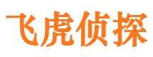 巢湖外遇调查取证